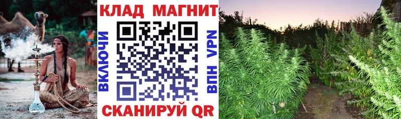 Наркота Дно MEGA зеркало  Бошки Шишки  Меф  ГАШИШ 