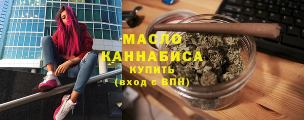 тгк Гусев