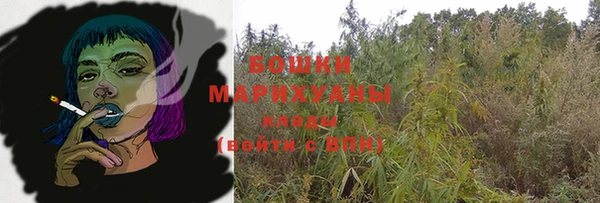 тгк Гусев