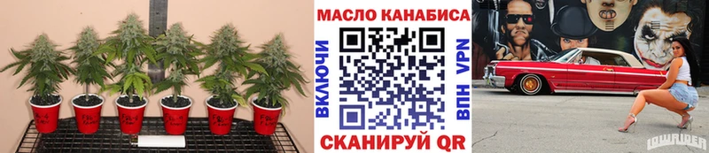 цена   Дно  кракен зеркало  Дистиллят ТГК гашишное масло 
