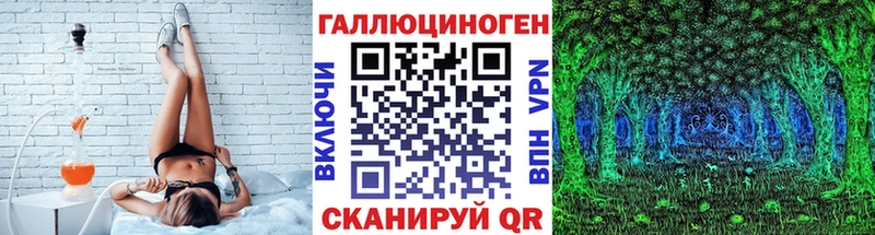 Псилоцибиновые грибы GOLDEN TEACHER  закладки  Дно 